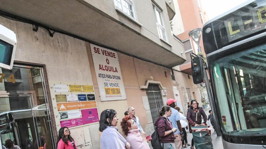 Imagen de una de las principales paradas de autobús en el centro de Torrevieja/ Foto de Tony Sevilla