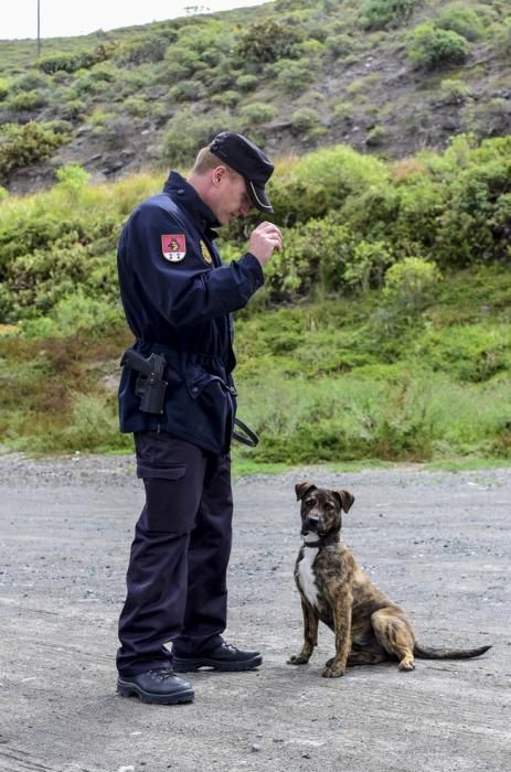 Reportaje a la Unidad Canina de la Policia ...