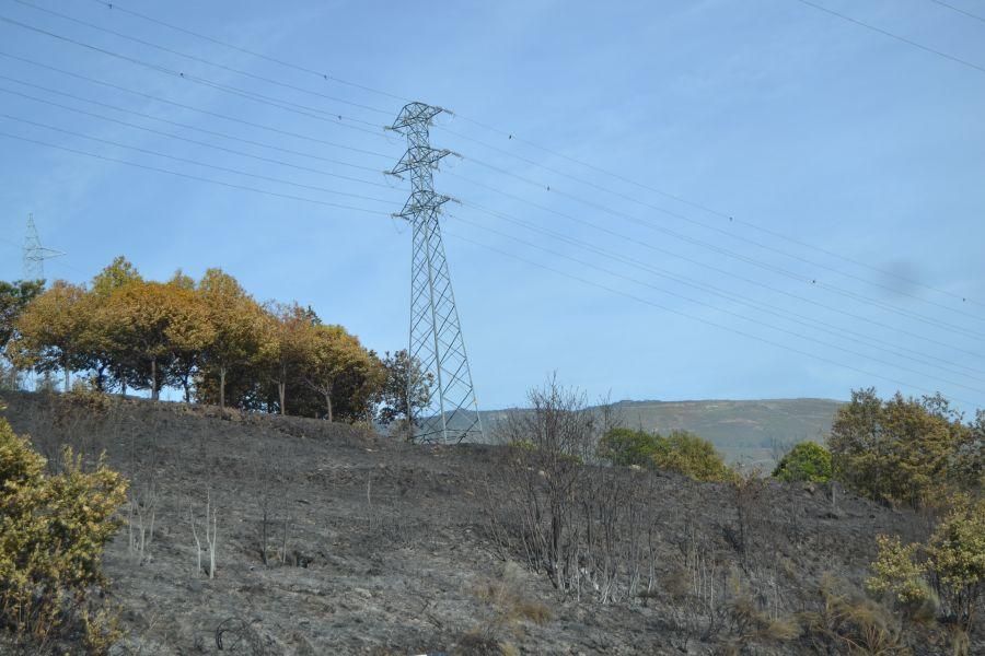 Incendio en Hedroso (Zamora)