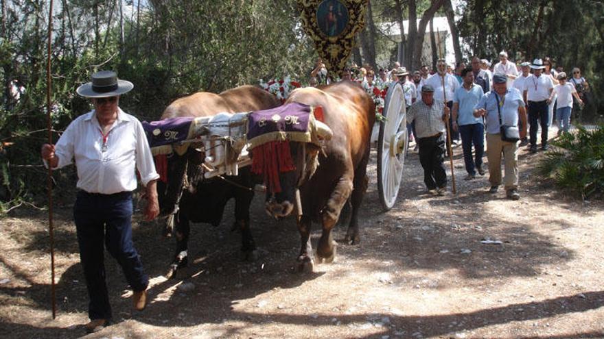 Los romeros, unos a pie y otros montados a caballos, acompañaron a San Bernabé, cuyo estandarte lo trasladó un simpecao tirado por dos bueyes.