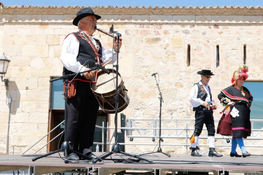 San Pedro 2016: Encuentro Internacional de Tambori