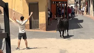 Les Useres estrena su primer fin de semana festivo con toros y música