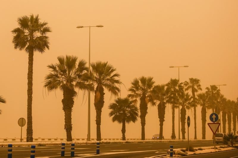 Las Palmas de Gran Canaria. calima  | 22/02/2020 | Fotógrafo: José Carlos Guerra