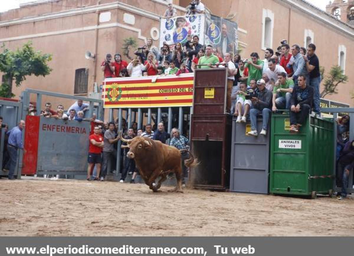 GALERÍA DE FOTOS - Fiestas de San Pascual bou al carrer