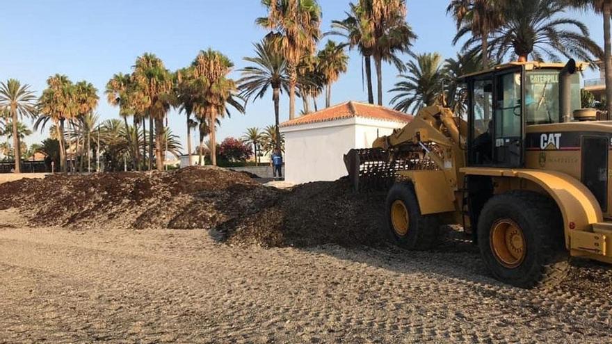 Una grúa retira algas en una de las playas de Marbella.