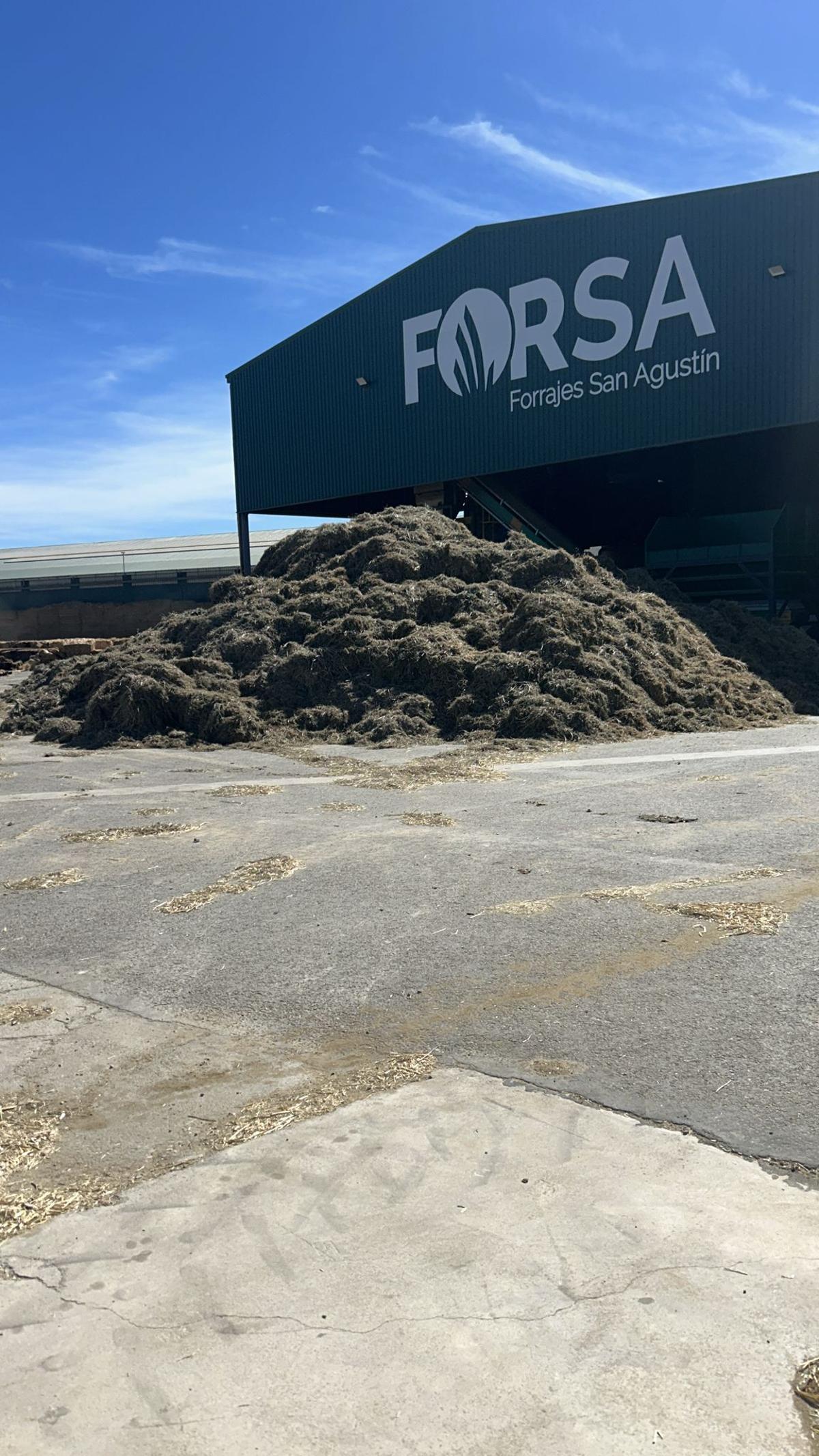 Las instalaciones de Forrajes San Agustín en Almuniente, en los Monegros.