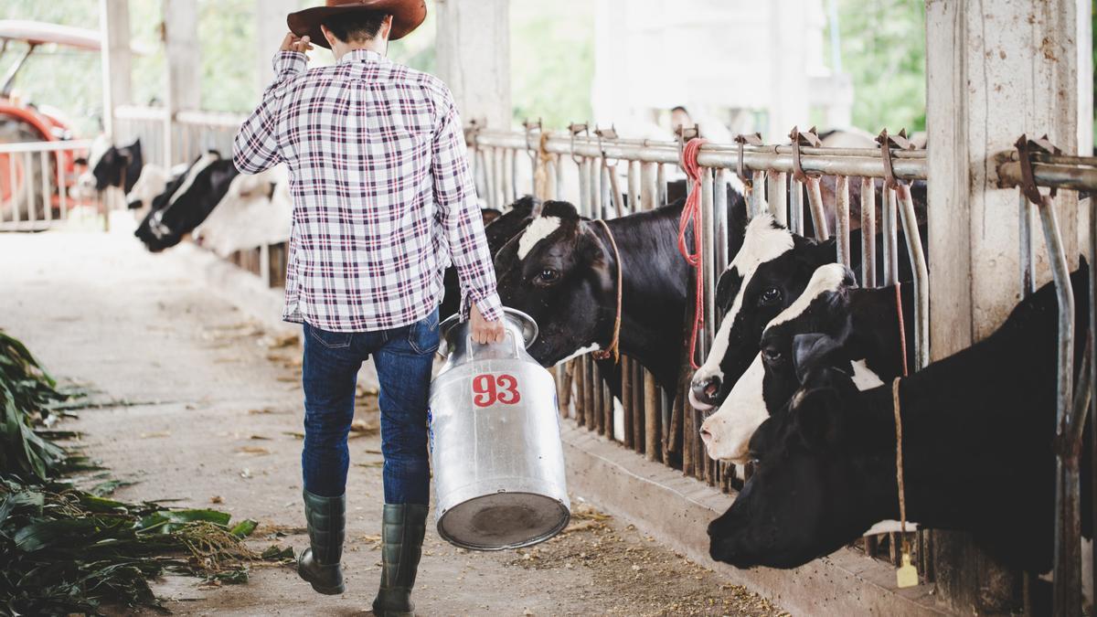 La leche cruda y sin pasteurizar puede contener listeria.