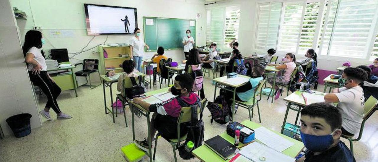 Alumnos del CEIP Sa Bodega, uno de los centros públicos de Ibiza