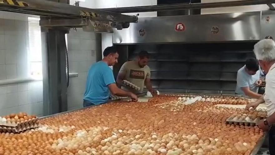 Paradela prepara el «bolo gigante» para San Gregorio