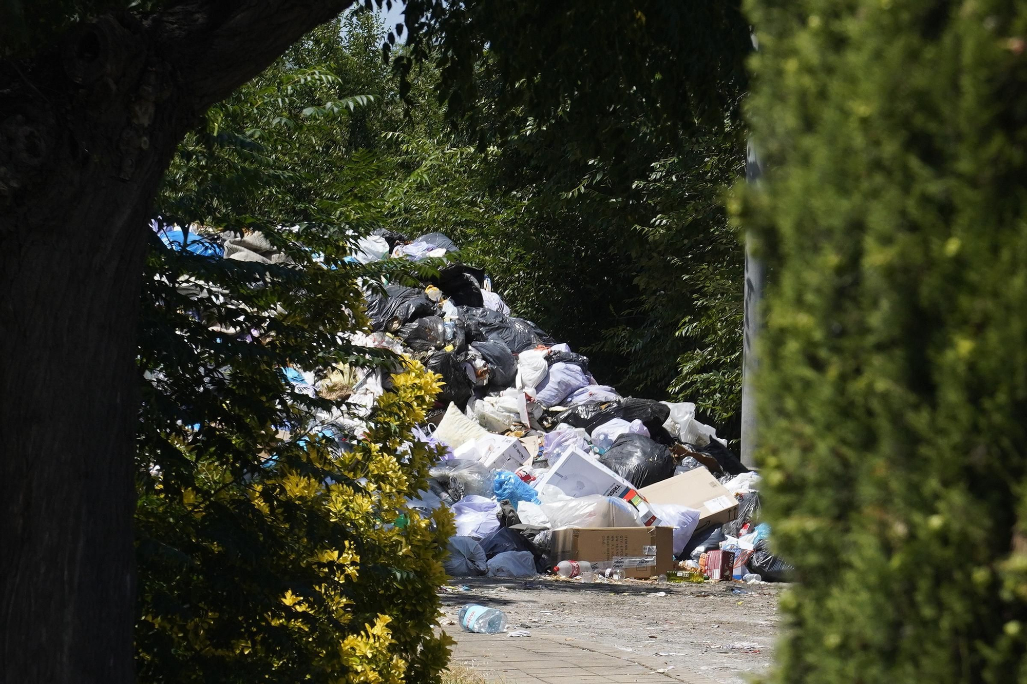 Les fotos de les deixalles a la incineradora de Campdorà de Girona