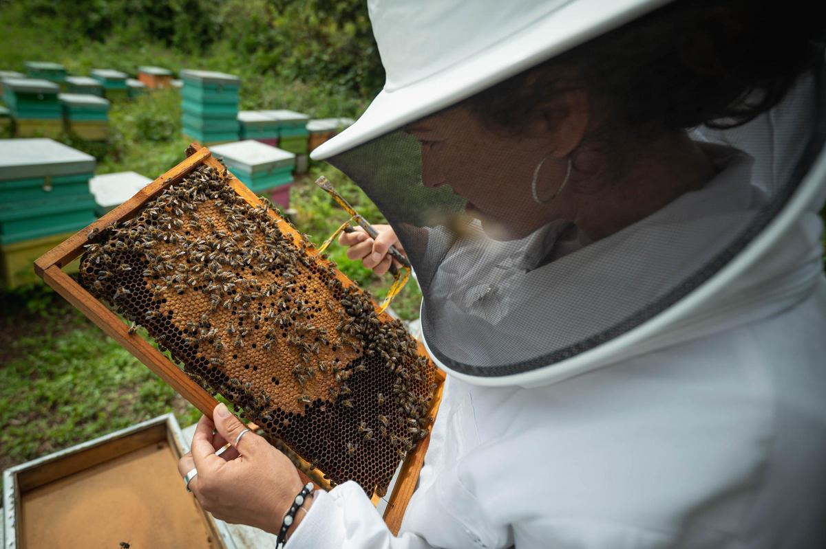 Natalia Díaz enseña su finca ecológica Ecoalpispa por el Día Mundial de las Abejas