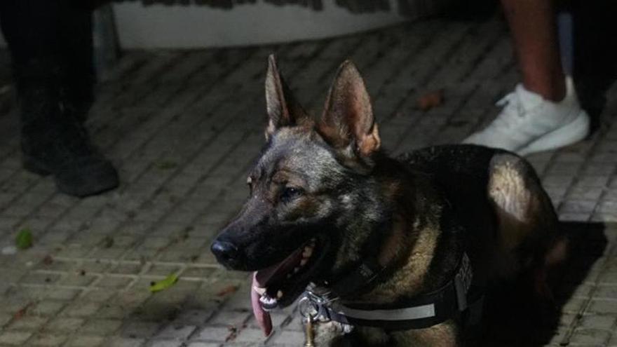 Summer durante una operación antidrogas en Ibiza.