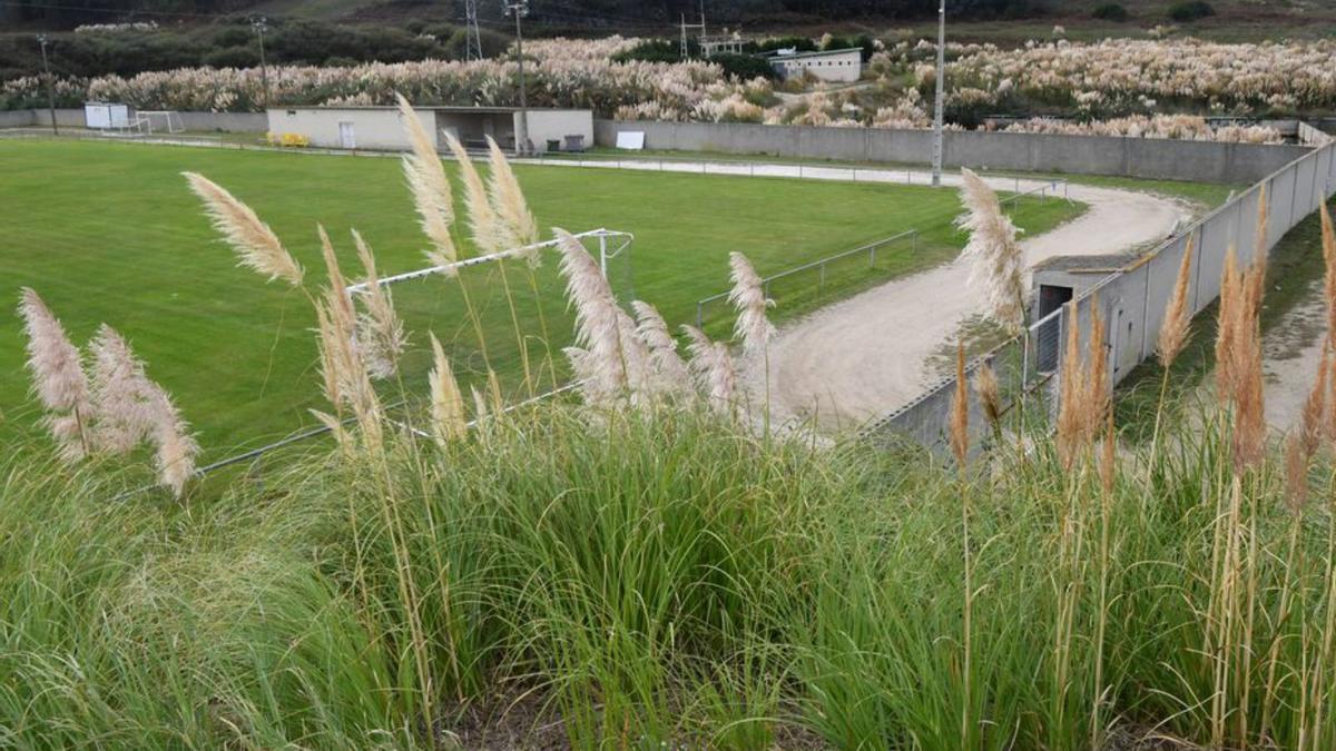 Campo de fútbol de Suevos (Arteixo), totalmente rodeado. |  // C. PARDELLAS