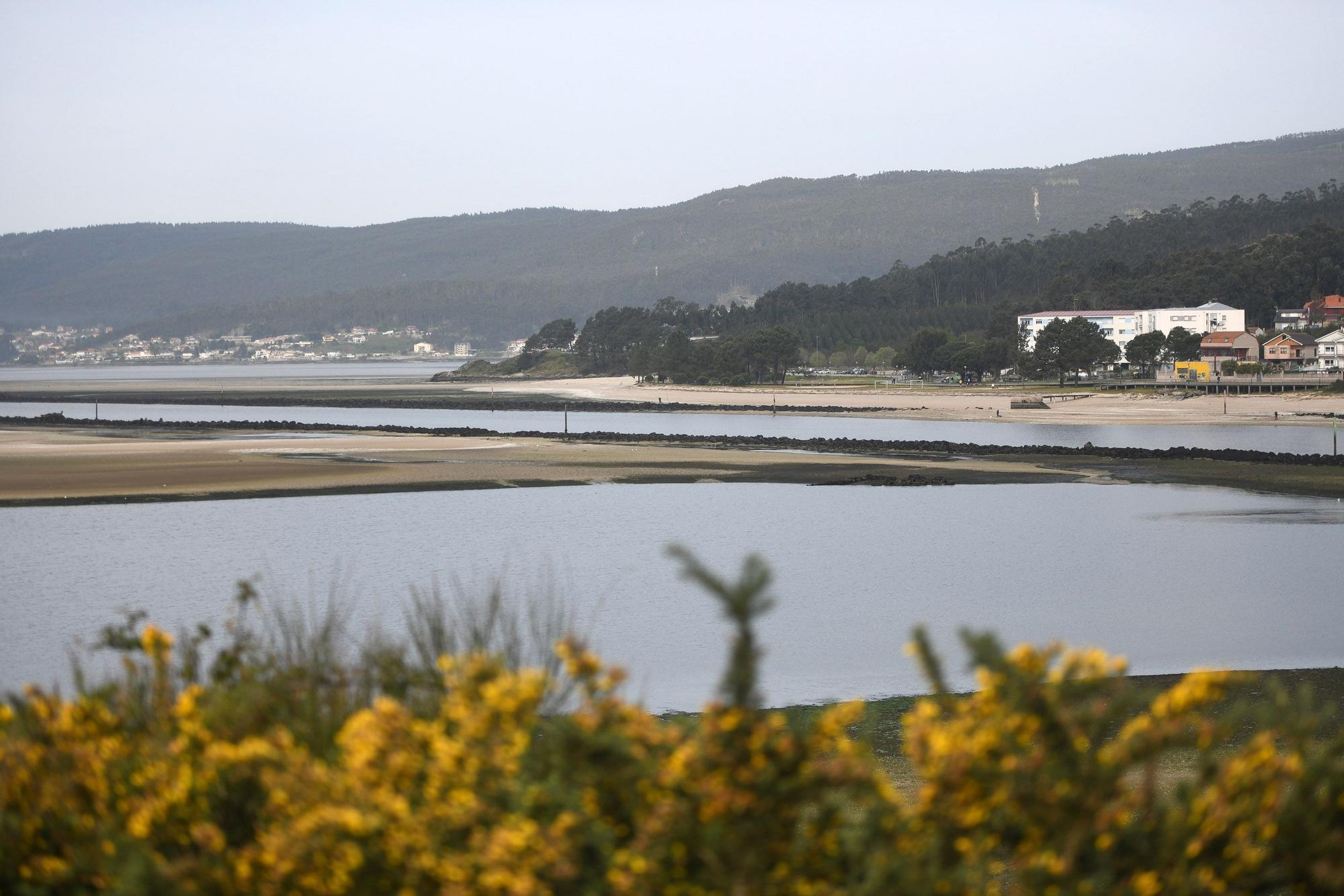 Caminando por el Lérez: las mareas vivas destapan el lecho del río