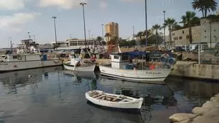 La pesca tradicional, hostigada en Xàbia por la "brutal presión náutica" y el vandalismo