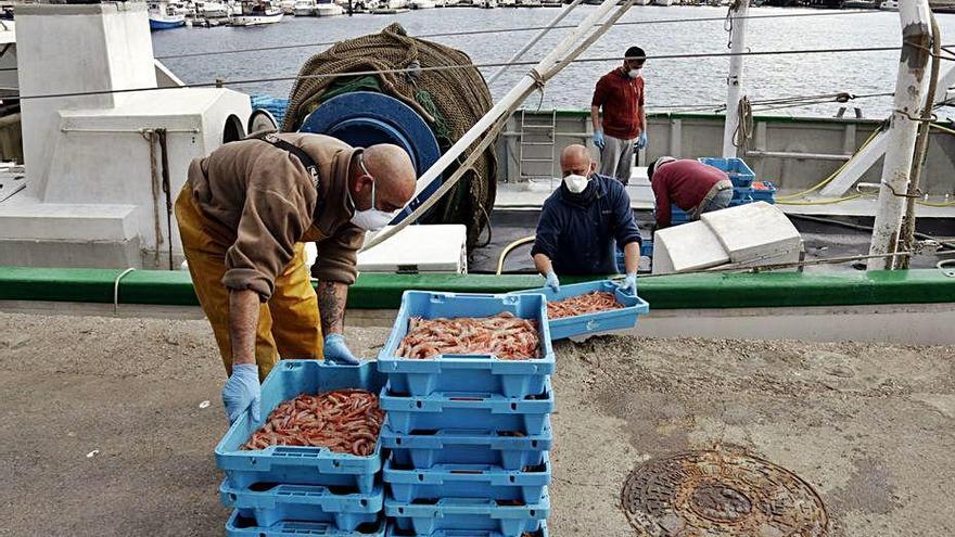 Pescadors descarregant peix a Palamós el mes de març.