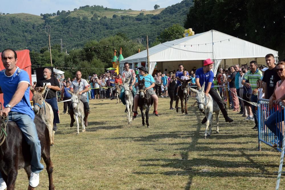 "Burrocross" en las fiestas de San Tirso