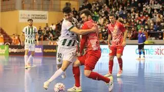 El Córdoba Futsal revive la maldición ante ElPozo en Vista Alegre