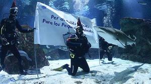 Antonio Orozco neda entre taurons a l’Aquàrium de Barcelona per felicitar el Nadal.