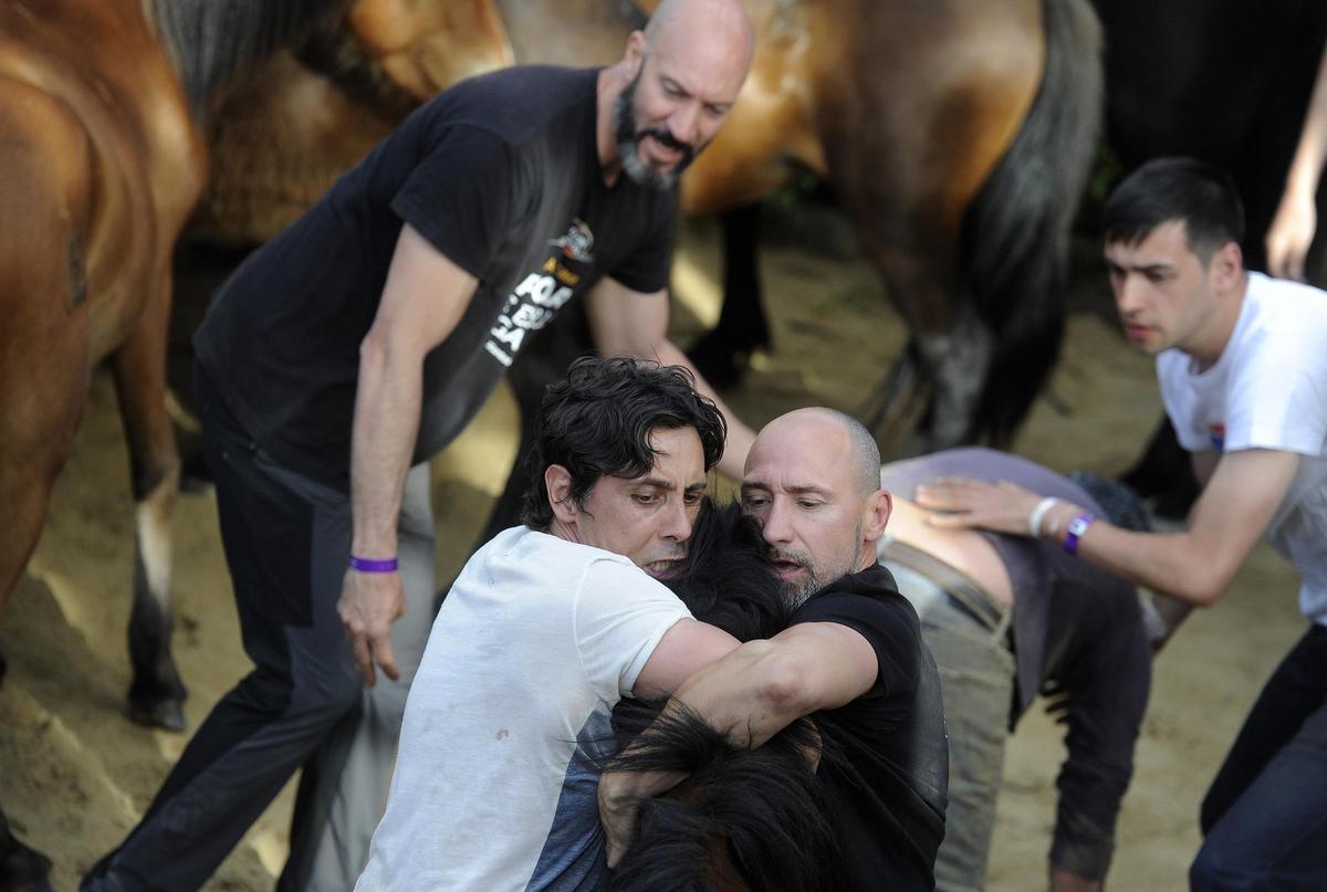 Pistoletazo de salida a la Rapa de Sabucedo 2024