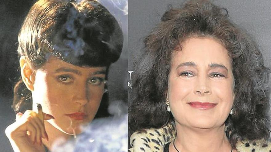 La policía busca a Sean Young