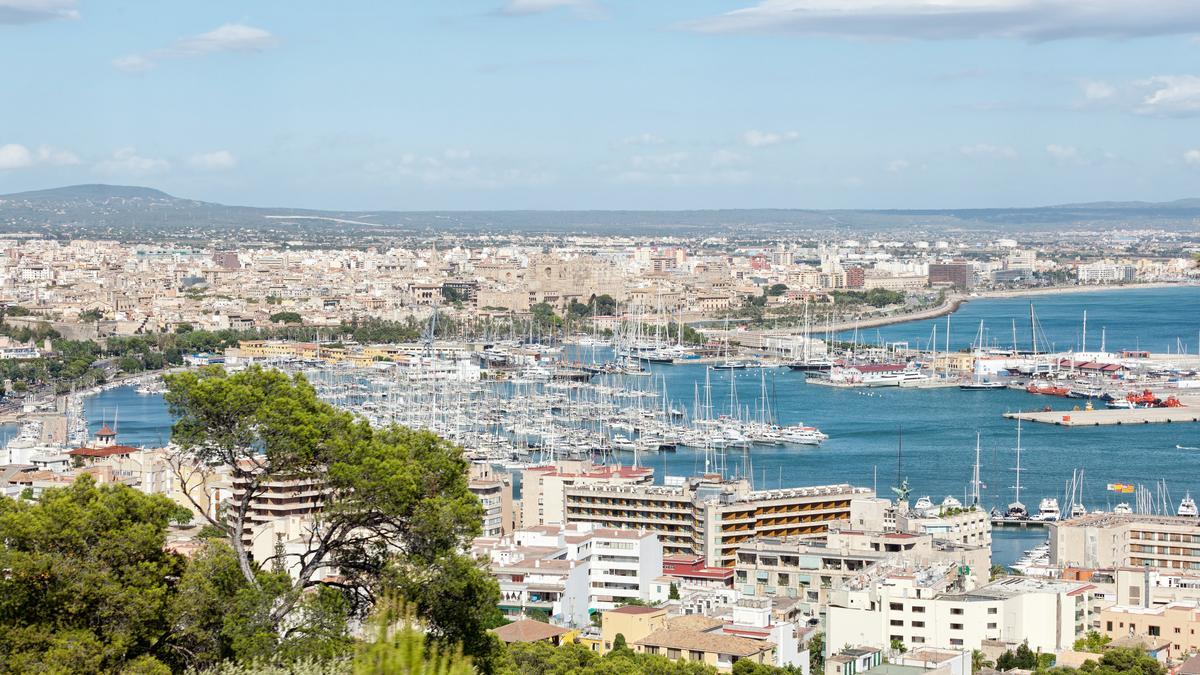 Palma