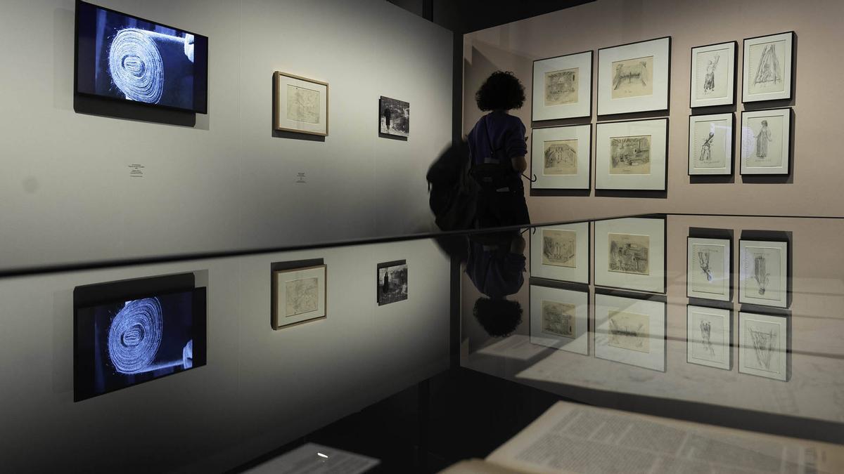 Exposición «Rodoreda, un bosque» sobre Mercè Rodoreda en el CCCB