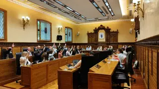 El Pleno de Gijón, sin el apoyo de la izquierda, reprueba a la presidenta del Puerto por la franja de Naval