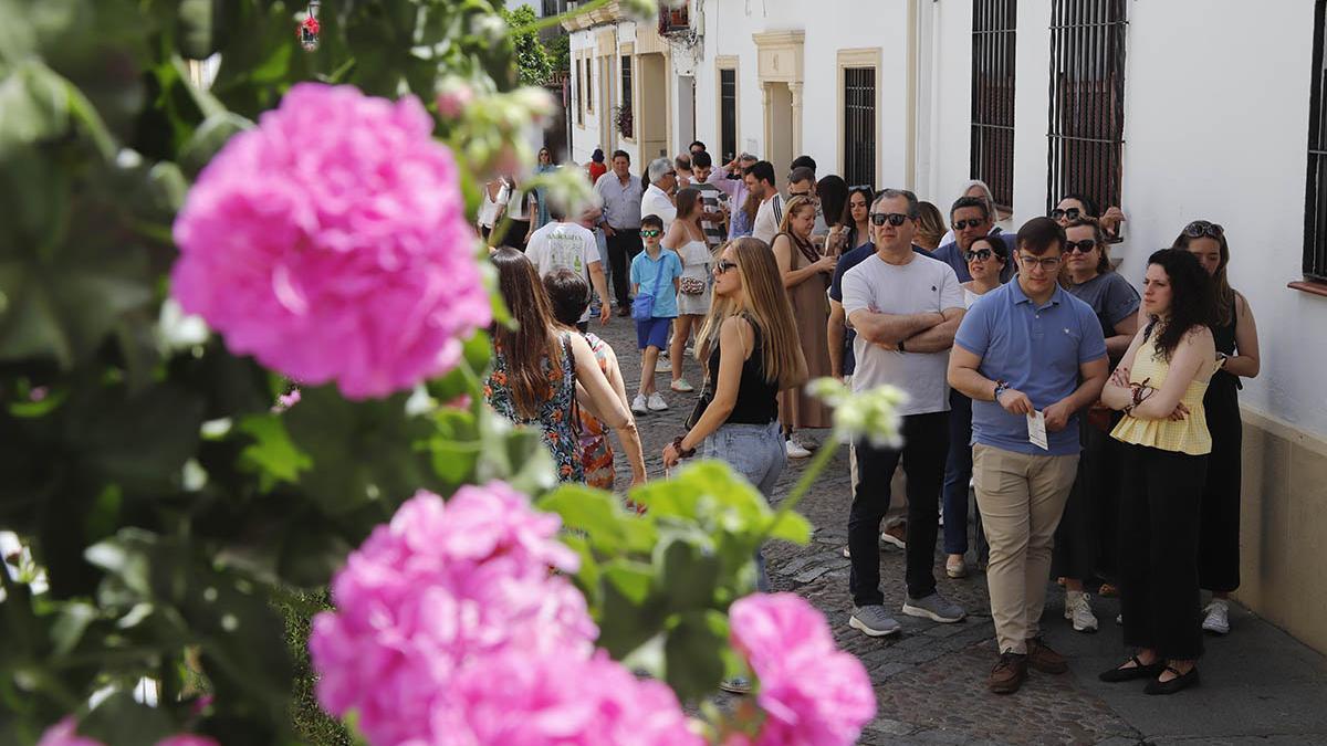 Muchos visitantes en el último día de patios