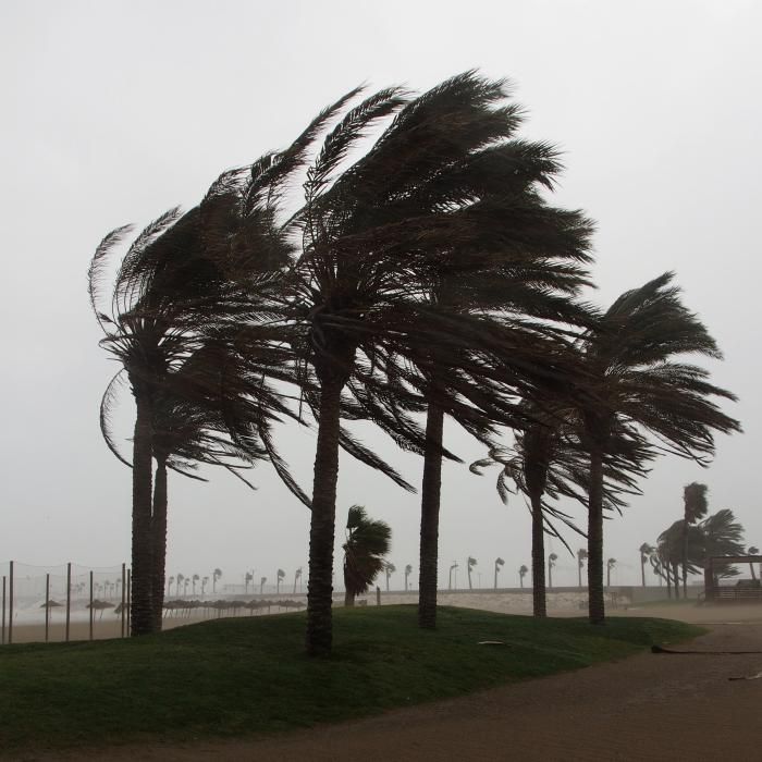 Temporal de viento y lluvia en Málaga