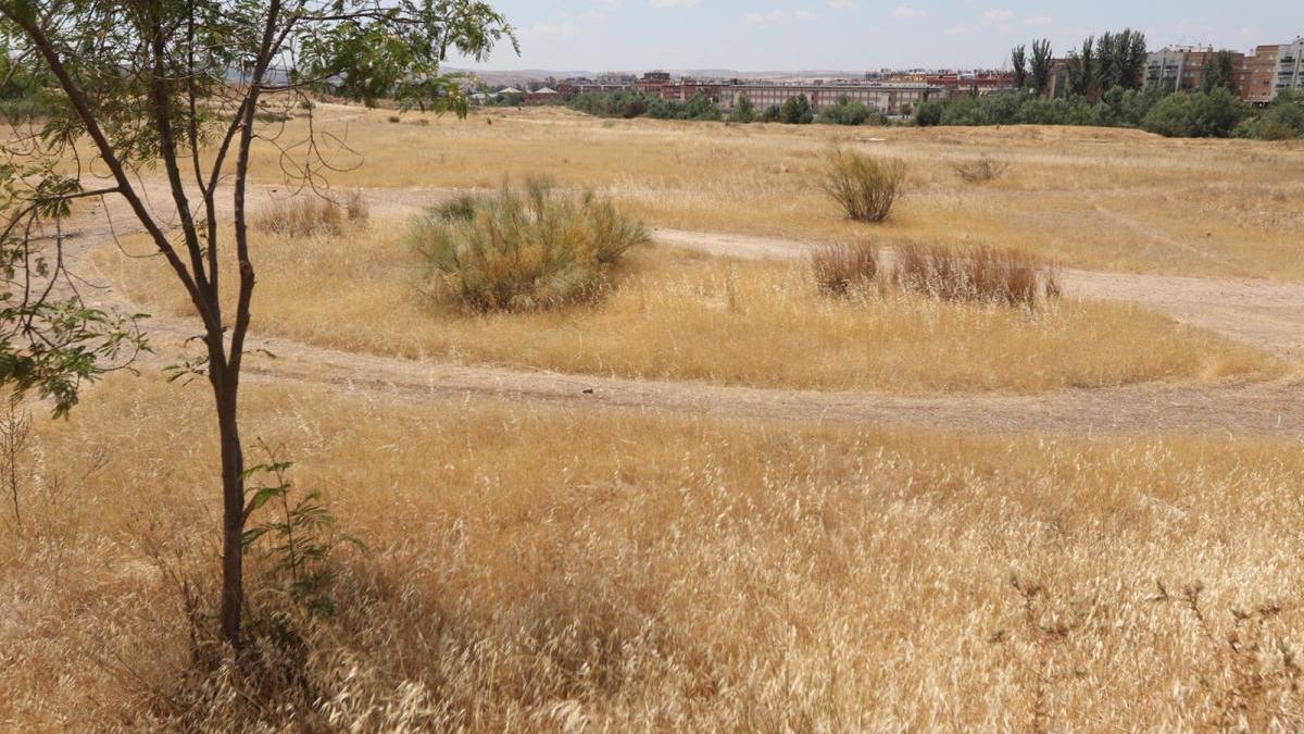 Urbanismo formaliza el contrato que permite el inicio de la obra del Parque de Levante