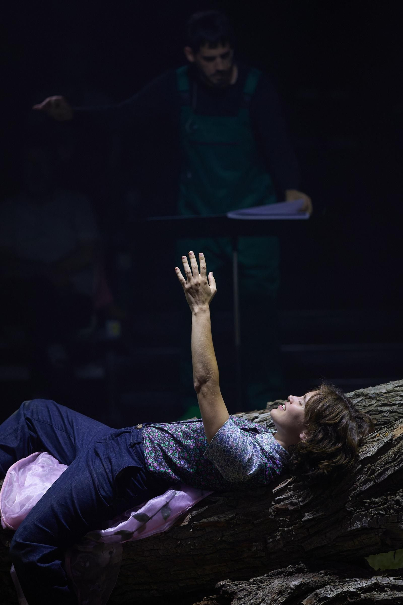 Les fotos de l'espectacle Hort/Garden al festival de Peralada