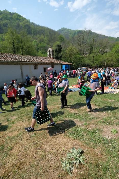 Romería de La Flor en Lena