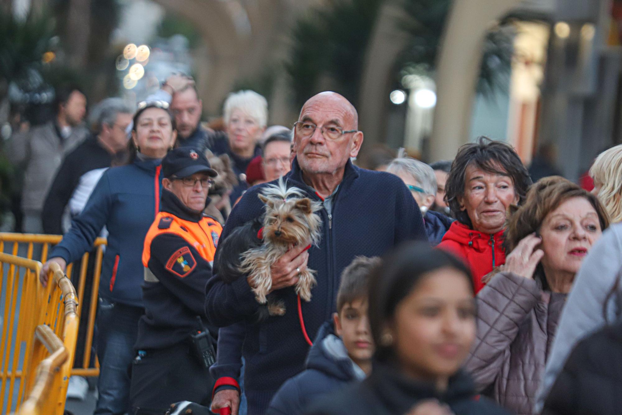 Bendición de San Antón en Torrevieja