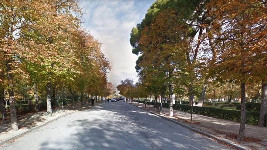 Detienen a una menor que traficaba con varios tipos de drogas en el parque del Retiro