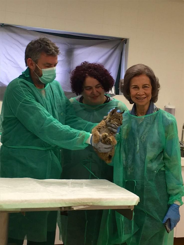 La reina Sofía visita en centro de cría del lince ibérico de Zarza de Granadilla (Cáceres)