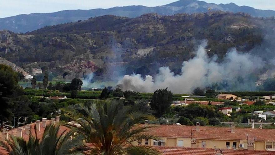 Arde el chamizo de una vivienda en Cieza