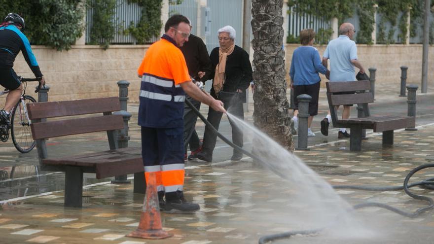 Un operario de la limpieza de la ciudad de Alicante
