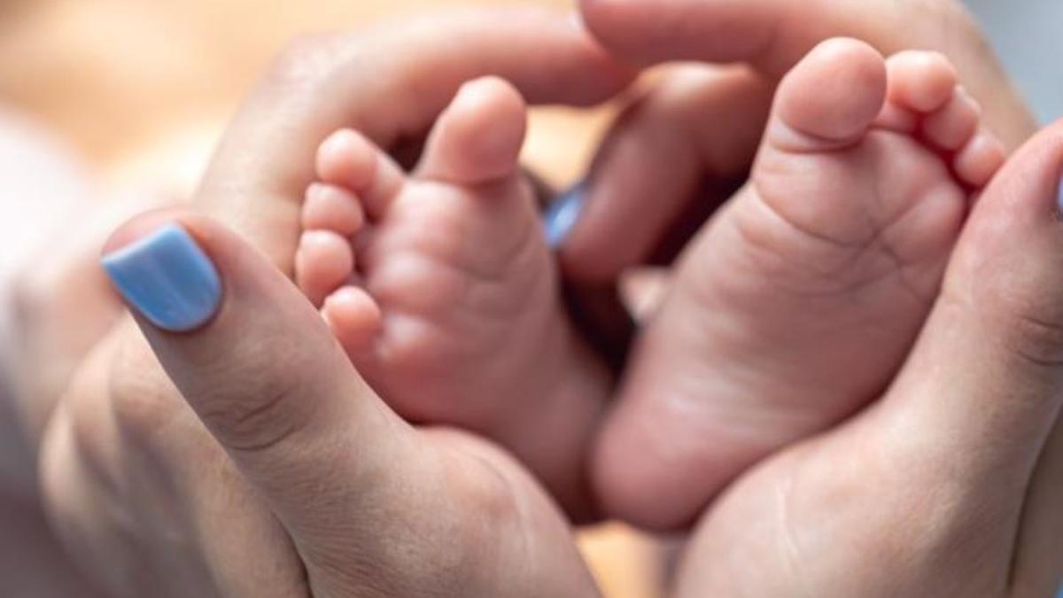 A la regió central la natalitat va créixer lleugerament al Bages, Berguedà, Cerdanya i Anoia