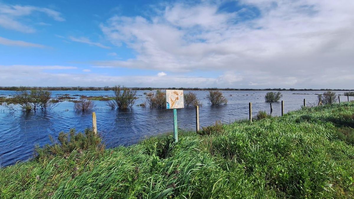 Marismas de Doñana tras las lluvias de los últimos días