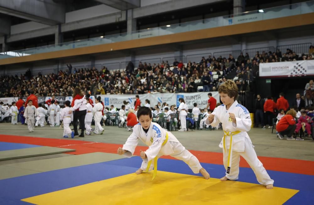 26ª edición de la Fiesta del Judo Infantil.