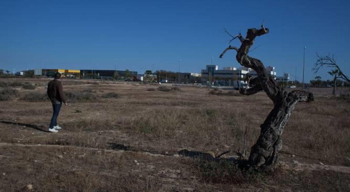 La ampliación del parque industrial aparca las ATEs para agilizar la expansión de Tempe