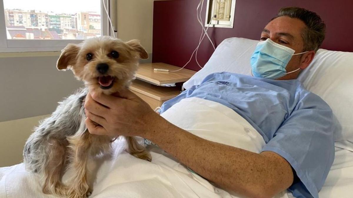 Las mascotas ya pueden entrar a visitar a sus dueños en el Hospital de Molina.