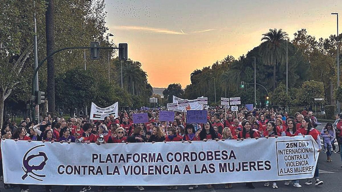 La Plataforma Cordobesa contra la Violencia a las Mujeres, durante la manifestación por el 25N en Córdoba.