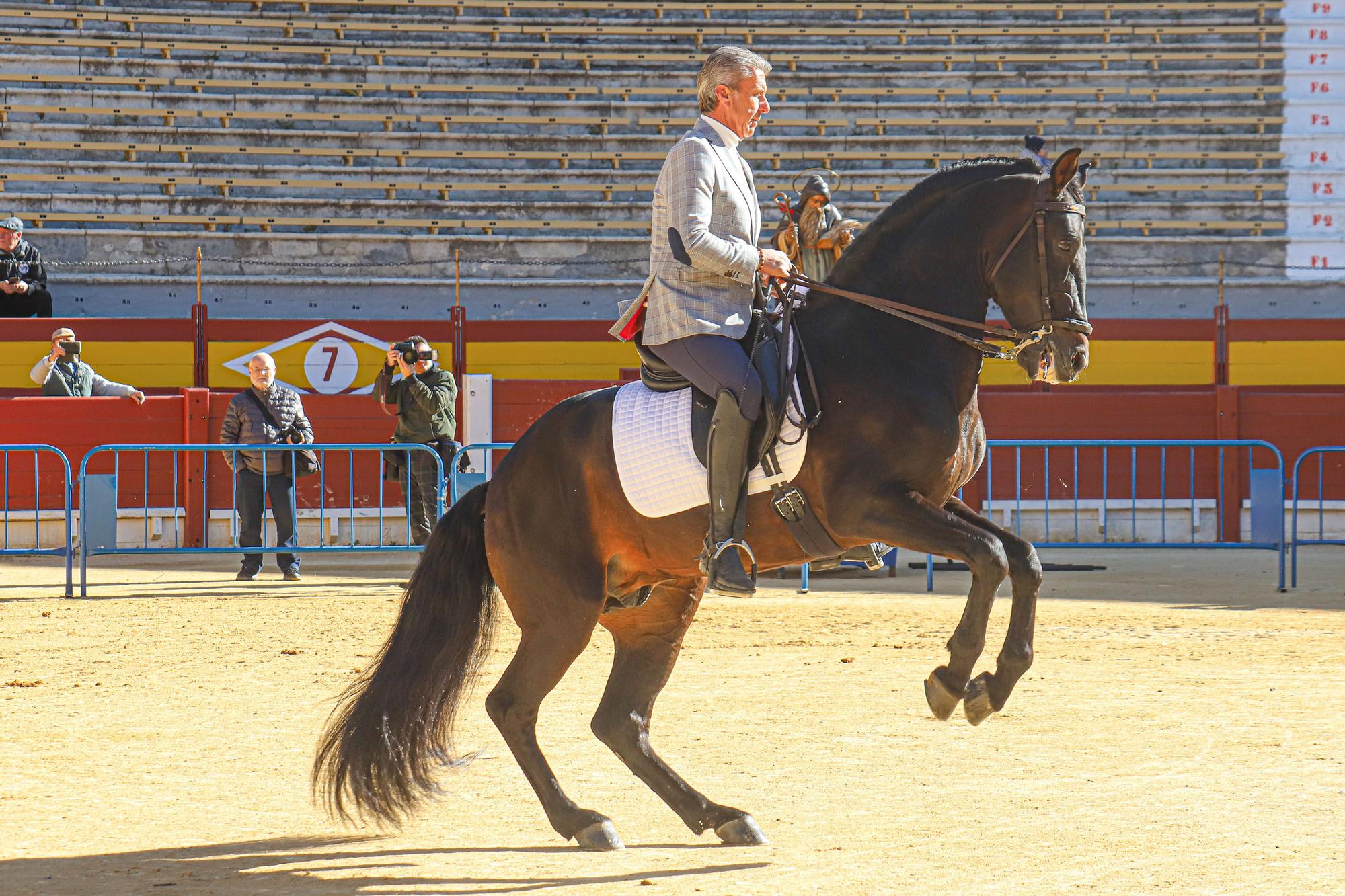 Concurso ecuestre y Bendición de animales por San Antón en Alicante