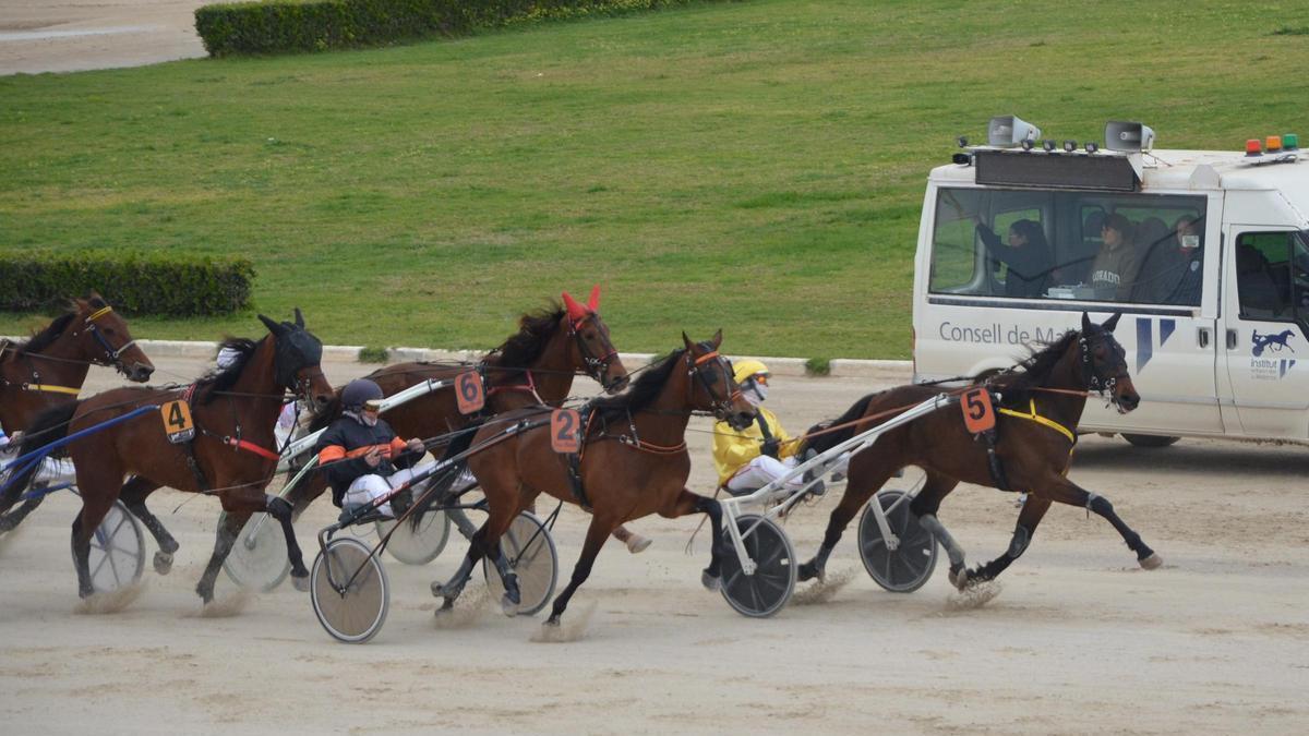 Nomurita Mar, con Guillem Andreu (5), por delante de No Pain no Gain (2) y Nuredduna des Bosc (6)