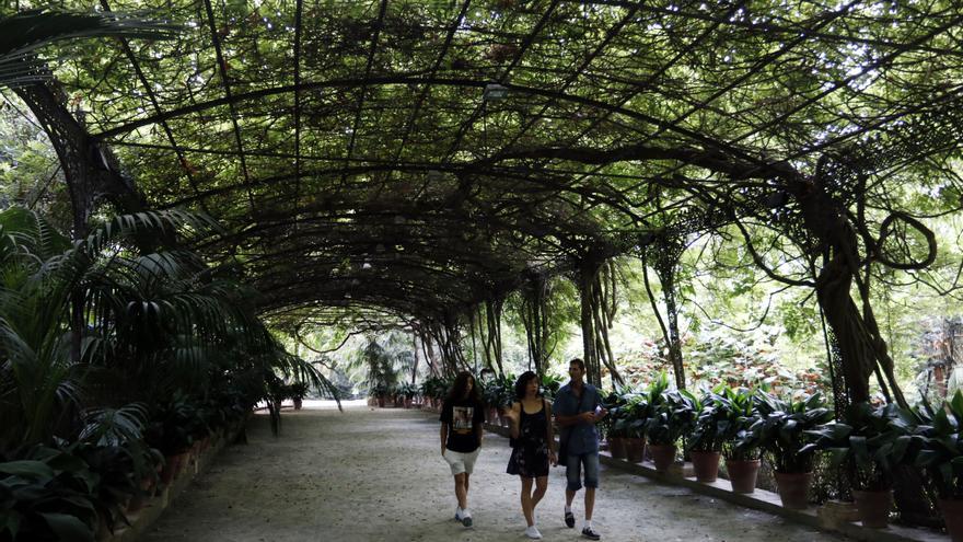 La estrategia del Jardín Botánico de Málaga hasta 2032: convertirse en un &quot;laboratorio&quot; climático