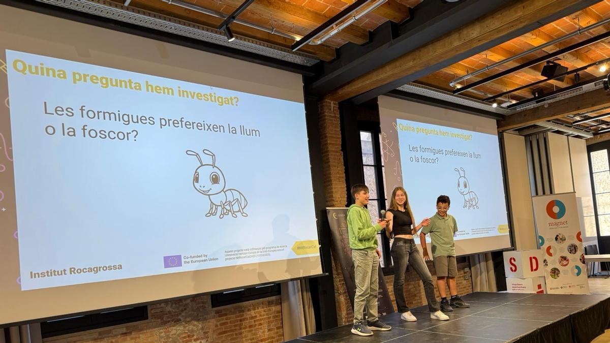 Alumnes de l’Institut Rocagrossa presentant la seva recerca sobre formigues.