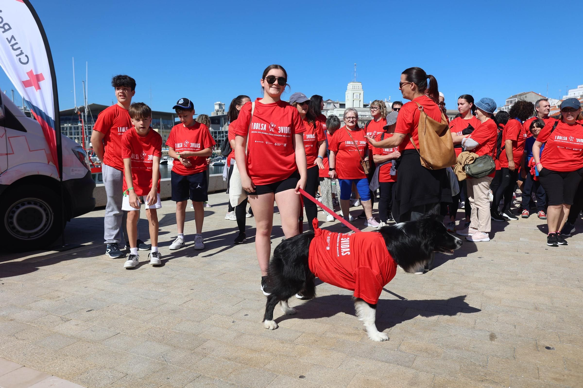 I Andaina Solidaria de Cruz Roja por la donación de sangre