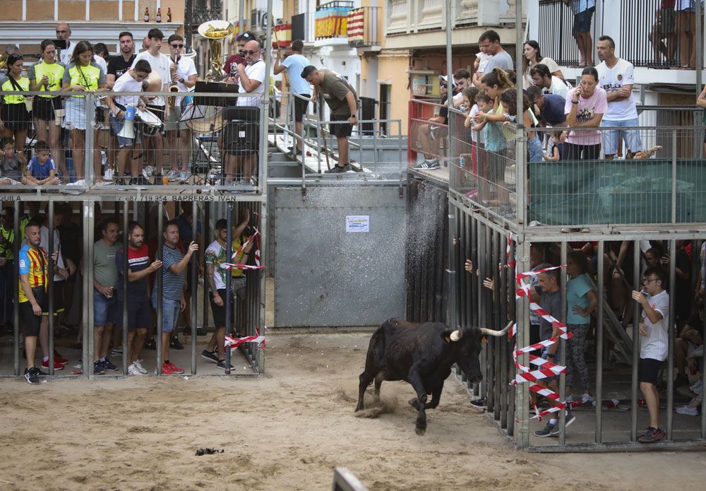 Festejos taurinos en Quart de les Valls